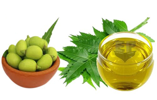 Cold Pressed Neem Oil 100ml